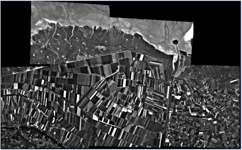 overview